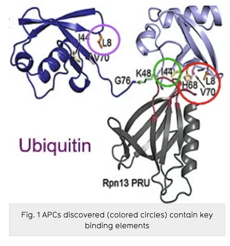 PD-APCn: Pattern-directed aligned pattern clustering of bio-sequences