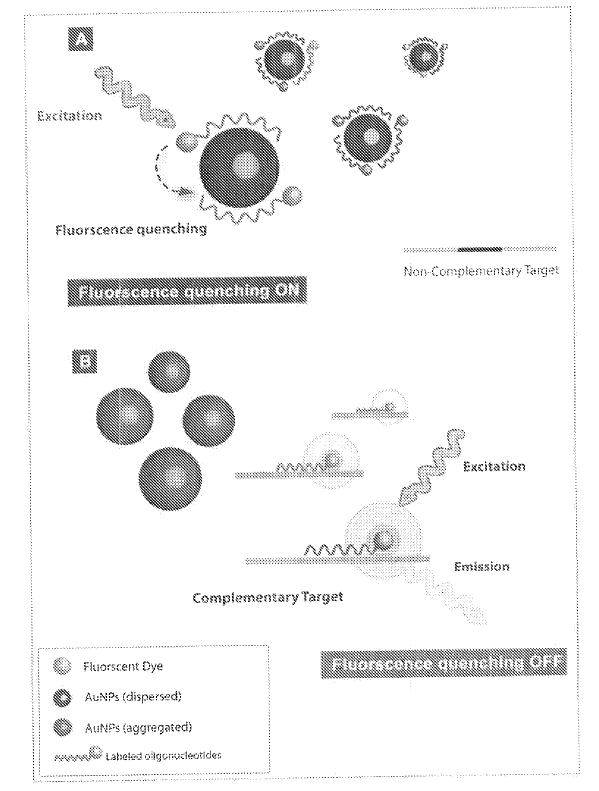 Colorimetric Nucleic-Acid Detection Using Unmodified Gold Nanoparticles for Rapid Pathogen Diagnostics