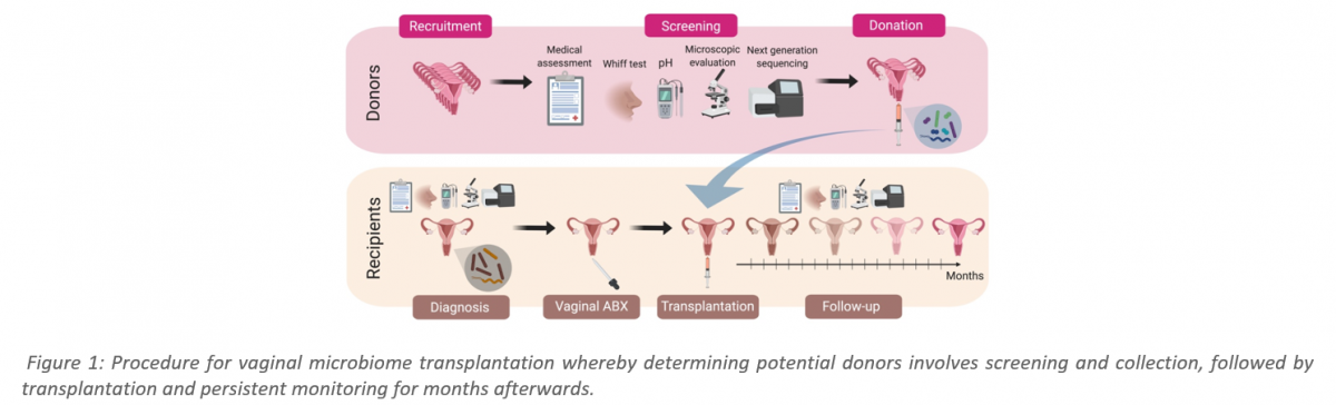 Microbiome Therapeutic for Treating Bacterial Vaginosis