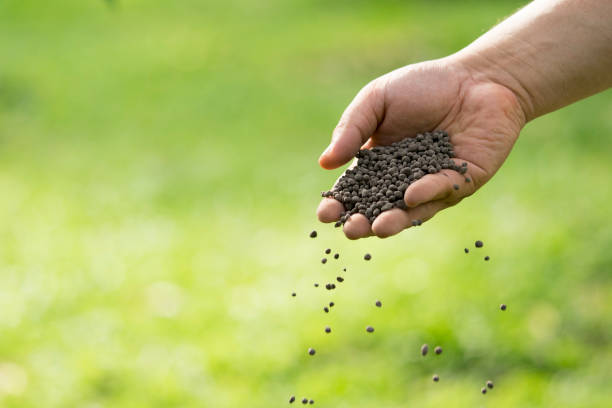 The complete Eco-fertilizer based on sewage sludge and by-products