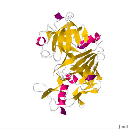 Production of chymosins from camel and bovine origin using recombinant yeast strains