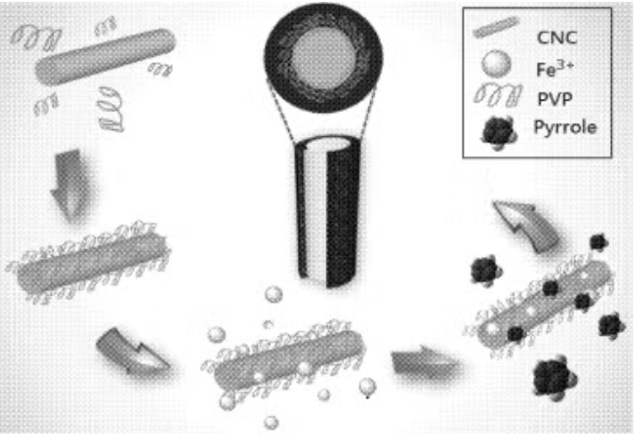 Conductive cellulose nanocrystals