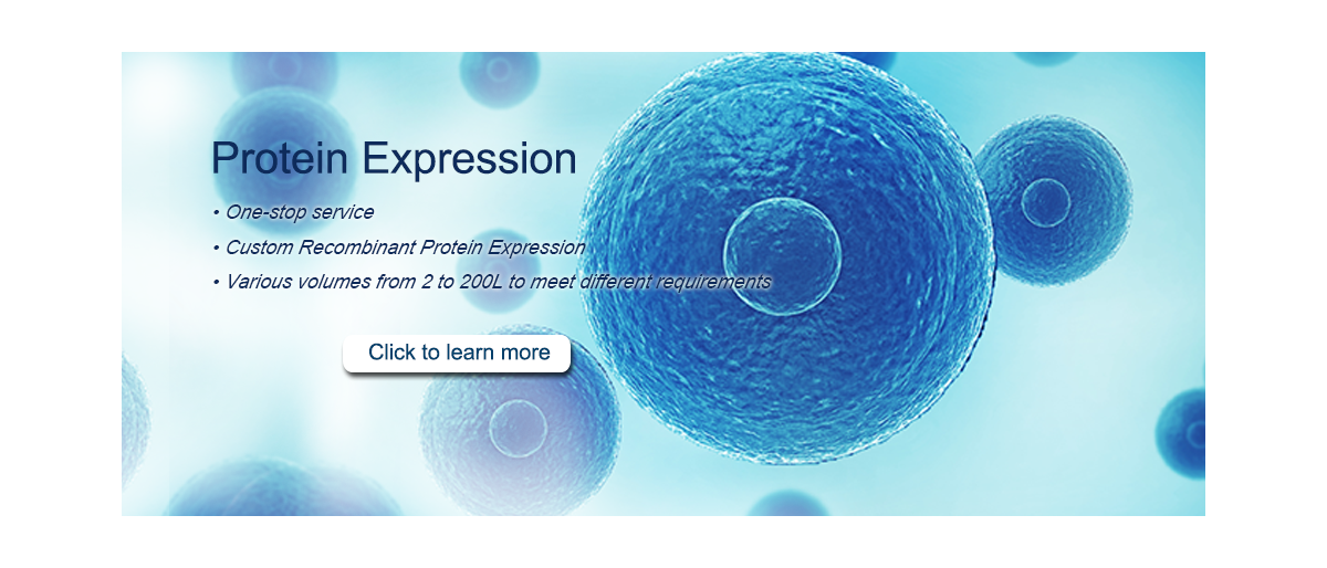Cell-free Expression System