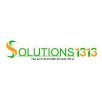 Solutions 1313