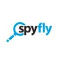 Spy Fly