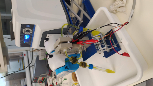 Clean technology for the efficient recovery of cathodes in lithium batteries