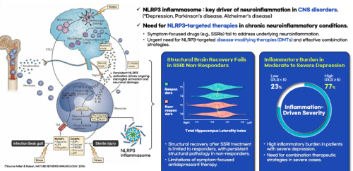 A Heterocyclic (Oxazole & Oxadiazole) Compound Library Platform for Neuroinflammation-Driven CNS Drug Discovery.