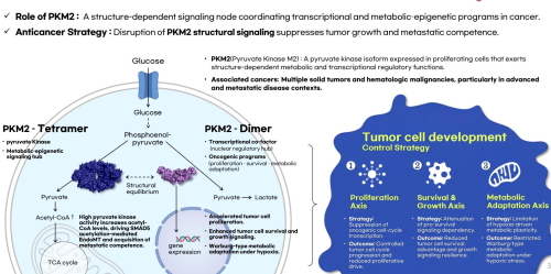 A First-in-Class vIRF3-Derived Peptide (VDP) Therapy Targeting the PKM2 Metabolic Axis for Tumor Regression and Metastasis Inhibition.