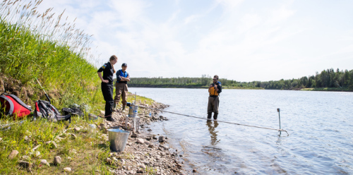 Plastics Research in Action at NAIT