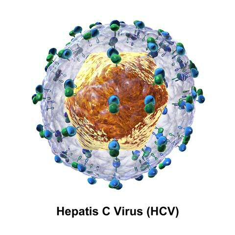 Natural compound with antiviral properties against hepatitis C